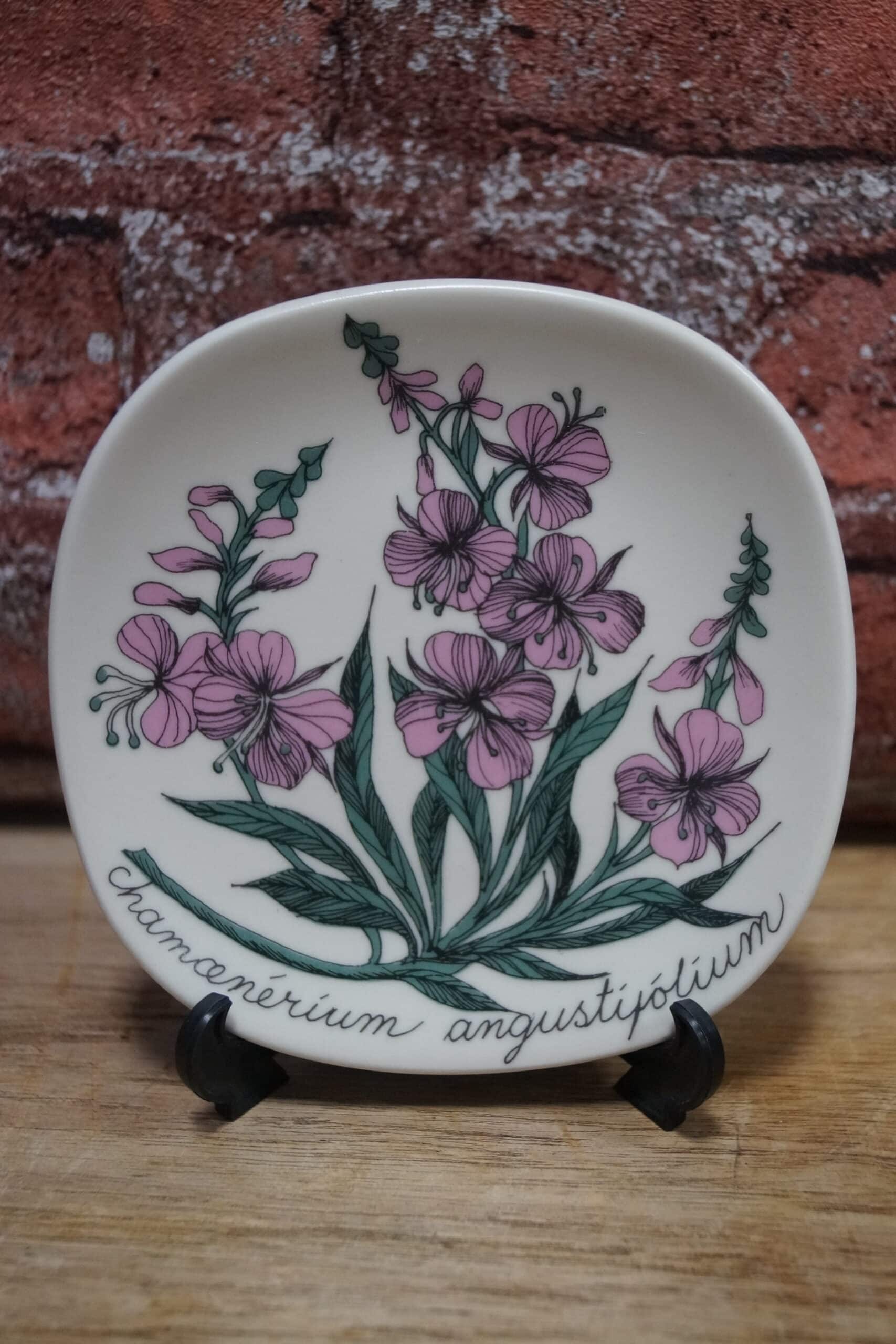 Maitohorsma seinälautanen