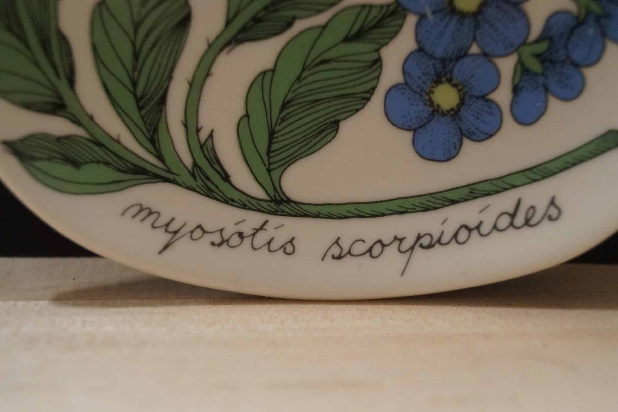 Luhtalemmikki - Image 2